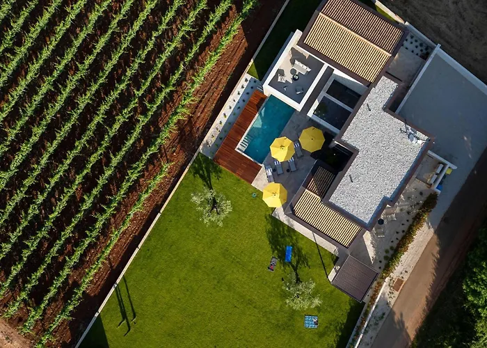 Vakantiehuis Stunning In With Sauna